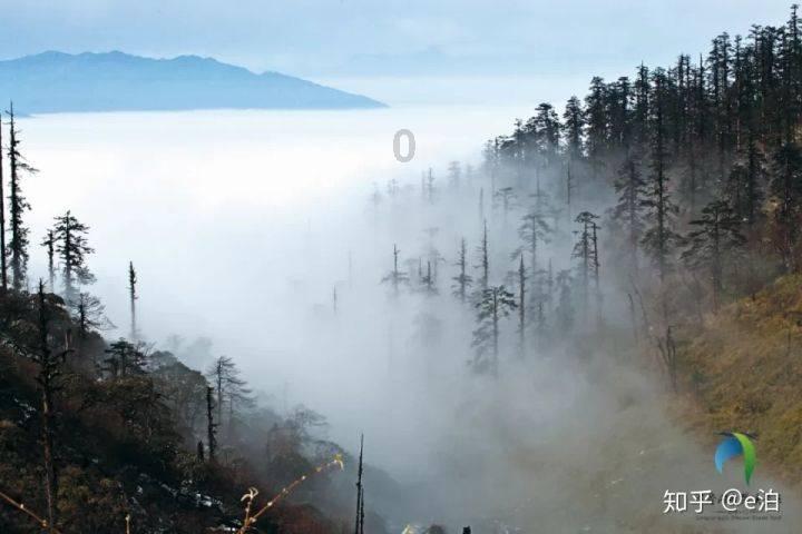 新生儿喝什么牌子的奶粉好?-专业问答网站,解答你所有疑问