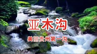 辽宁成大：董事长、监事会主席及全体高级管理人员增持24万股公司股份