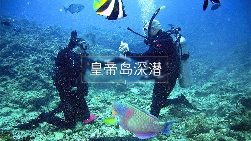 格斗巅峰大作战1.1