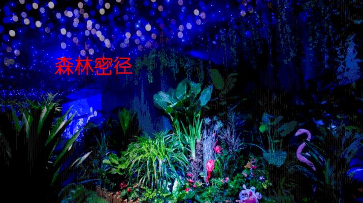 废弃精神病院逃脱